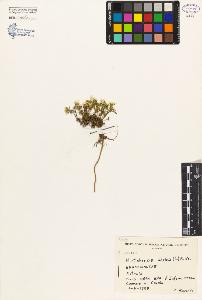 SW_BNB_s3080-03001_IMG-0000000001