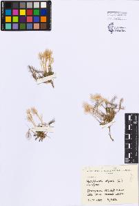 SW_BNB_s3080-03004_IMG-0000000001