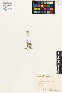 SW_BNB_s3080-03006_IMG-0000000001