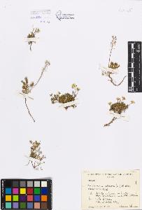 SW_BNB_s3080-03007_IMG-0000000001