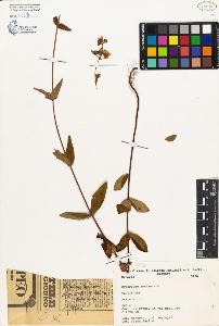 SW_BNB_s3080-03013_IMG-0000000001