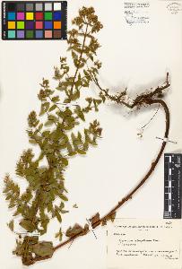 SW_BNB_s3080-03024_IMG-0000000001