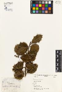 SW_BNB_s3080-03033_IMG-0000000001