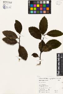 SW_BNB_s3080-03035_IMG-0000000001