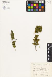 SW_BNB_s3080-03037_IMG-0000000001