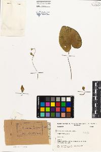 SW_BNB_s3080-03046_IMG-0000000001