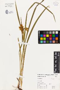 SW_BNB_s3080-03047_IMG-0000000001