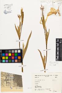 SW_BNB_s3080-03050_IMG-0000000001