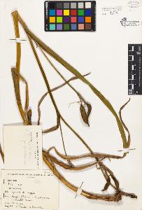 SW_BNB_s3080-03051_IMG-0000000001