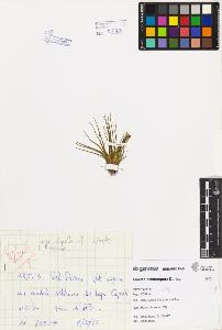SW_BNB_s3080-03053_IMG-0000000001