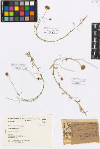 SW_BNB_s3080-03054_IMG-0000000001