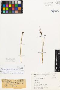 SW_BNB_s3080-03059_IMG-0000000001