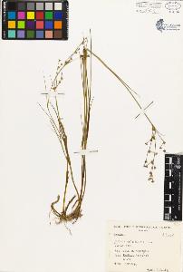 SW_BNB_s3080-03063_IMG-0000000001