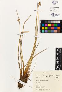 SW_BNB_s3080-03066_IMG-0000000001