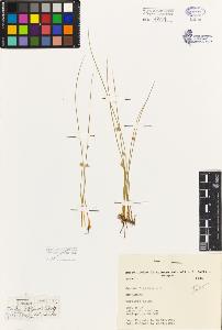 SW_BNB_s3080-03068_IMG-0000000001