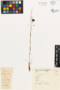 SW_BNB_s3080-03071_IMG-0000000001