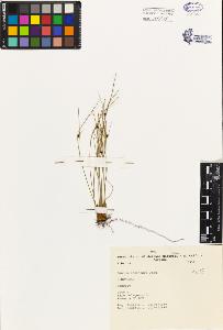 SW_BNB_s3080-03072_IMG-0000000001