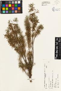 SW_BNB_s3080-03078_IMG-0000000001