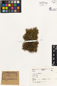 SW_BNB_s3080-03081_IMG-0000000001