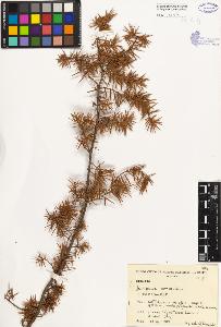 SW_BNB_s3080-03082_IMG-0000000001