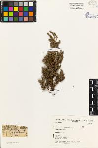 SW_BNB_s3080-03083_IMG-0000000001
