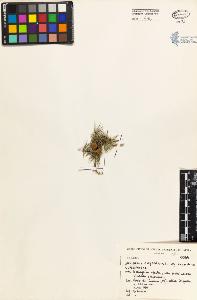 SW_BNB_s3080-03085_IMG-0000000001