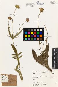 SW_BNB_s3080-03096_IMG-0000000001