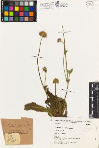 SW_BNB_s3080-03098_IMG-0000000001