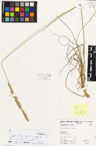 SW_BNB_s3080-03100_IMG-0000000001