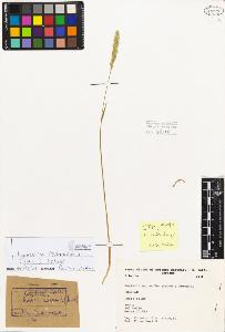 SW_BNB_s3080-03101_IMG-0000000001