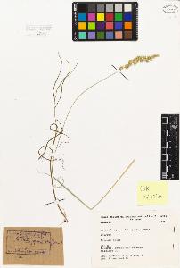 SW_BNB_s3080-03103_IMG-0000000001