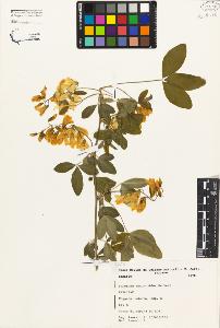 SW_BNB_s3080-03107_IMG-0000000001