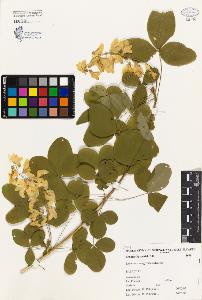 SW_BNB_s3080-03110_IMG-0000000001