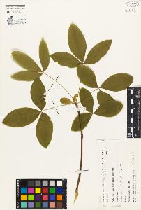 SW_BNB_s3080-03112_IMG-0000000001