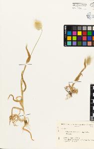 SW_BNB_s3080-03115_IMG-0000000001