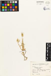 SW_BNB_s3080-03116_IMG-0000000001