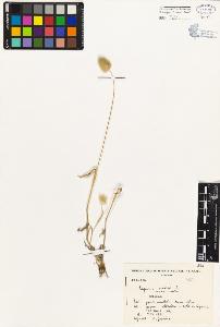 SW_BNB_s3080-03119_IMG-0000000001