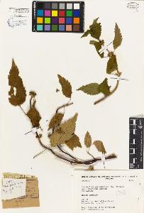 SW_BNB_s3080-03120_IMG-0000000001