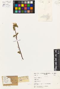 SW_BNB_s3080-03124_IMG-0000000001