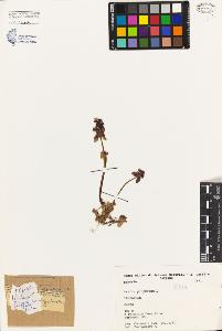 SW_BNB_s3080-03134_IMG-0000000001