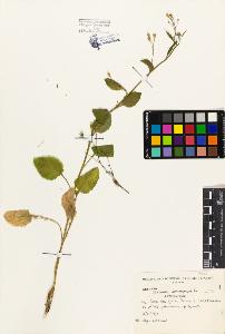 SW_BNB_s3080-03135_IMG-0000000001