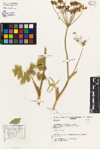 SW_BNB_s3080-03141_IMG-0000000001