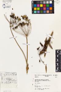 SW_BNB_s3080-03143_IMG-0000000001