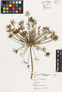 SW_BNB_s3080-03147_IMG-0000000001