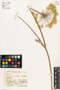 SW_BNB_s3080-03148_IMG-0000000001
