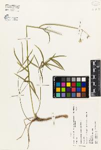 SW_BNB_s3080-03152_IMG-0000000001