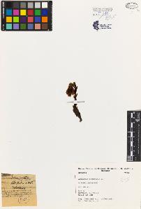 SW_BNB_s3080-03157_IMG-0000000001
