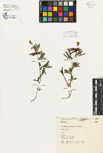 SW_BNB_s3080-03163_IMG-0000000001
