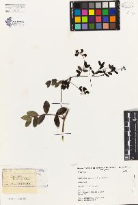 SW_BNB_s3080-03171_IMG-0000000001