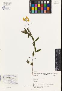 SW_BNB_s3080-03173_IMG-0000000001